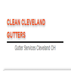 Clean Cleveland Gutters Image
